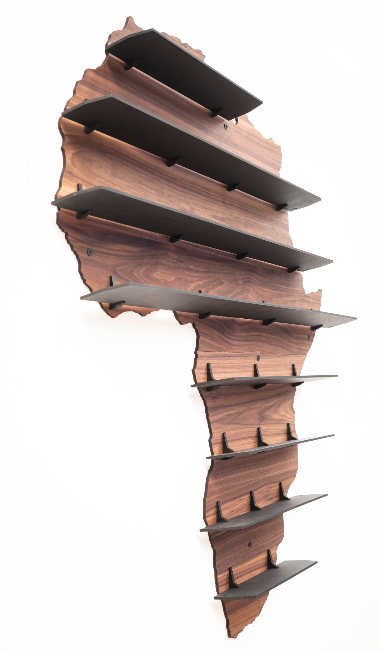 Wall Wine Shelf