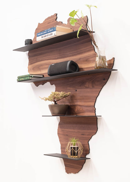 Display Shelf